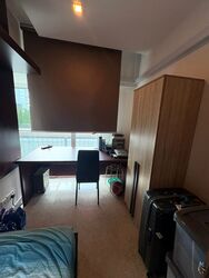 Pasadena (D11), Apartment #542210631